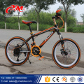 Fabrik Preis Kohlefaser Mountainbike mit 24 Geschwindigkeit / Customized hot 26 Größe Mountainbike / Mountainbike mit Federung
